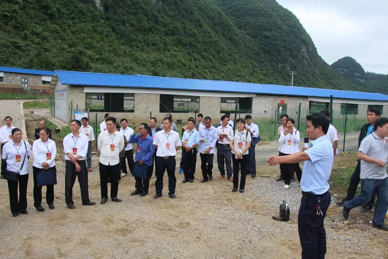 长顺县自然资源和妄想局最新新闻动态及剖析