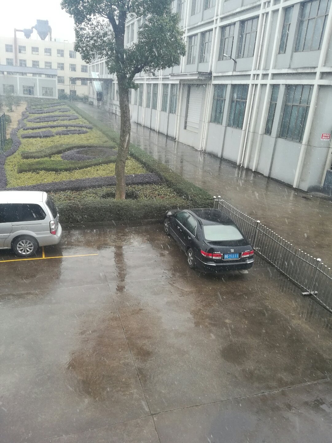 仙华街道最新天气预告更新通知