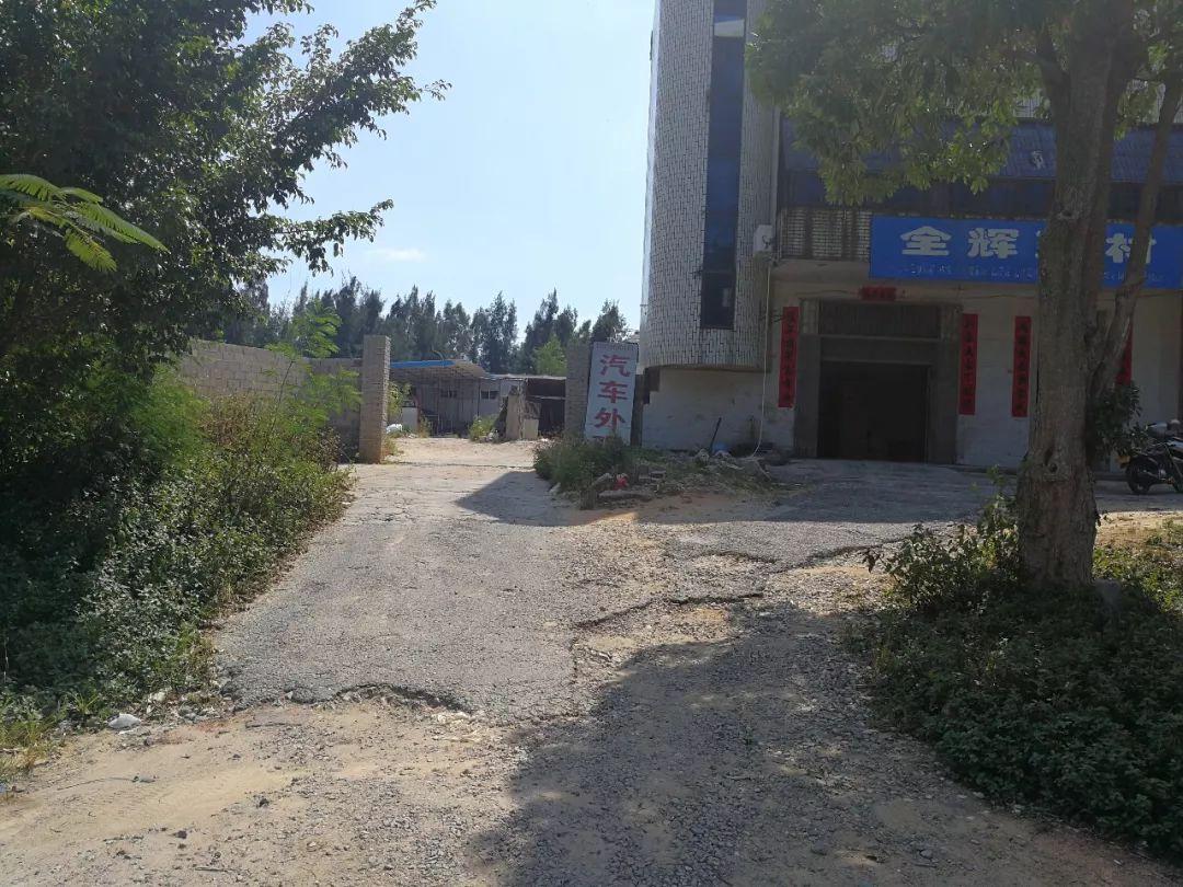 东山新篇章揭开序幕，最新动态与新闻速递