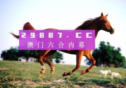 澳门一肖一码一特一中挂，时代说明剖析，PT12.928