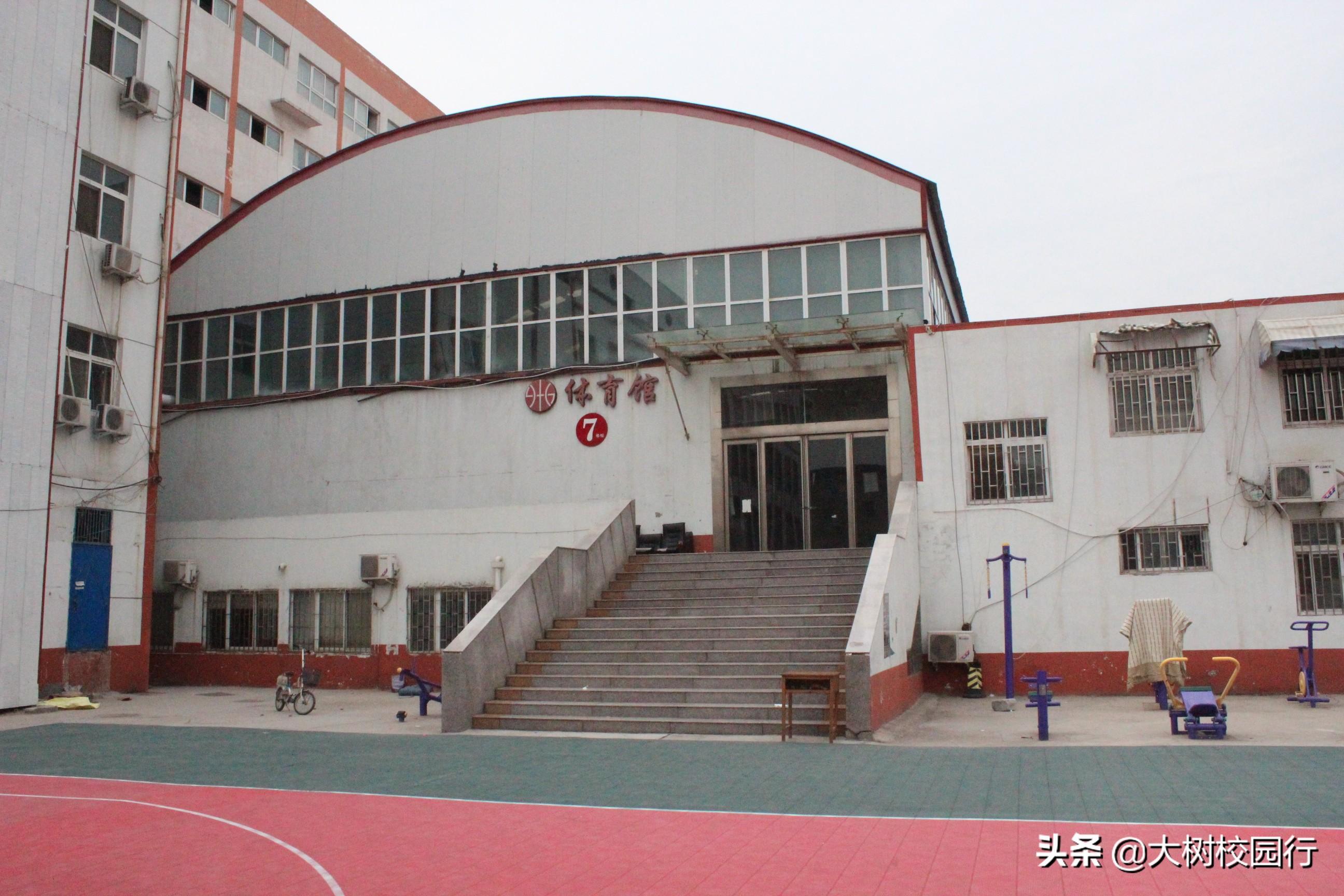 北林区体育馆，体育赛事与社区生长的融合之旅最新报道