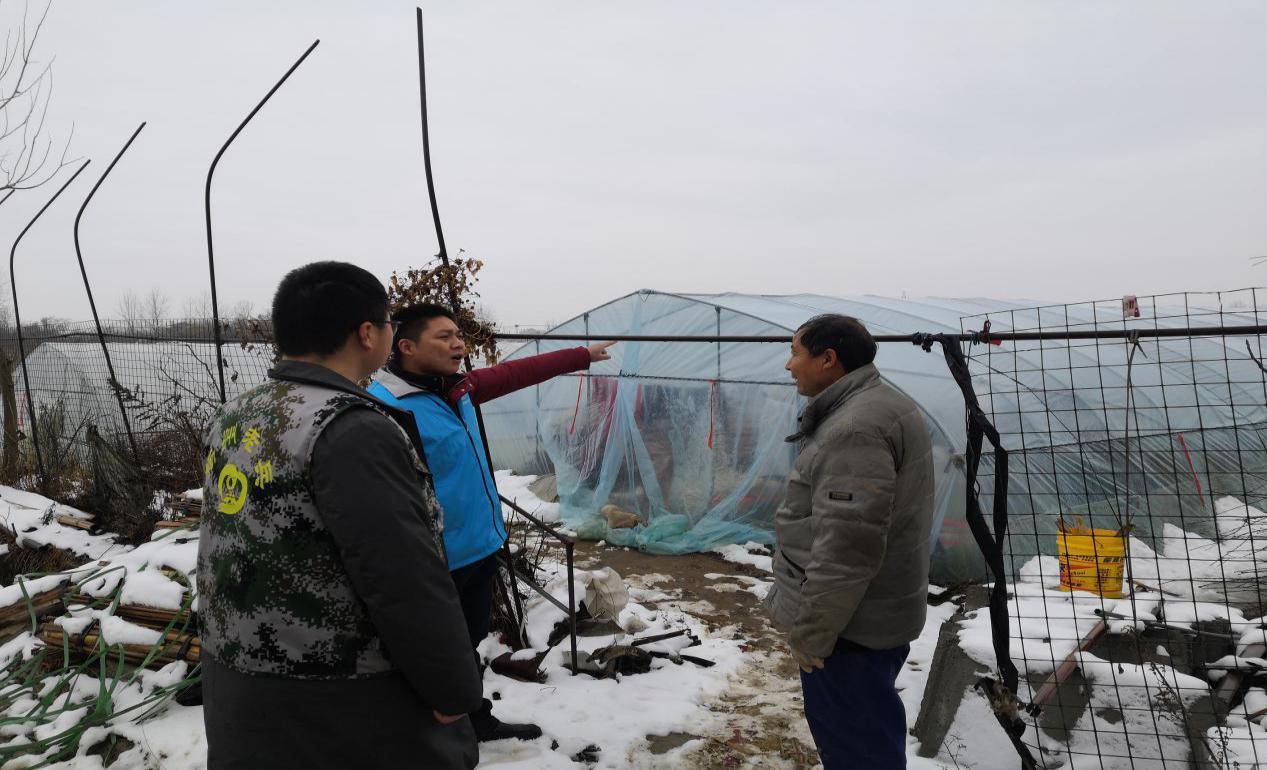 双岗镇最新天气预告概览