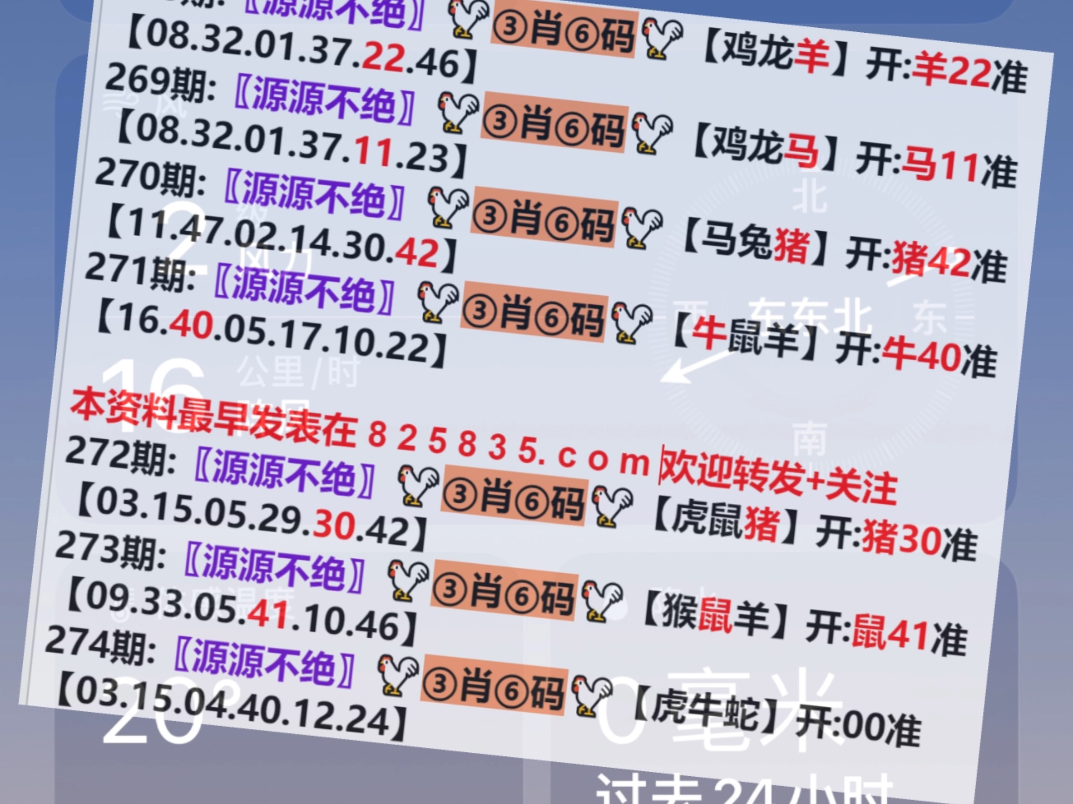 2024今晚新澳门开奖号码,动态调解战略执行_专业款22.91