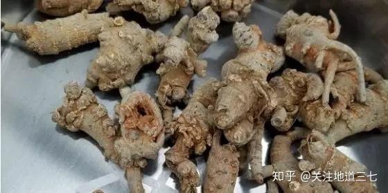 三七最新价钱及行情剖析