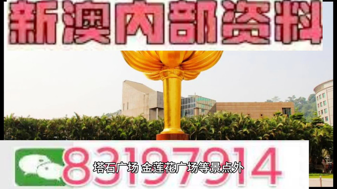 澳门最精准免费资料大全旅游团，科技针言剖析说明