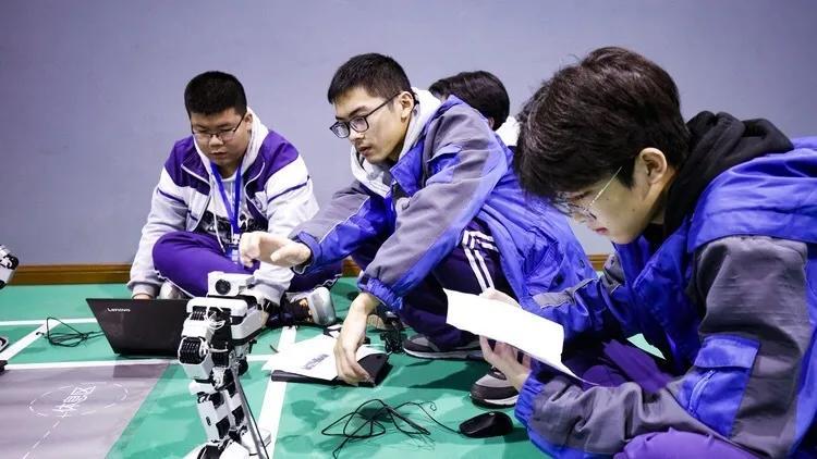 人工调解最新生长趋势与挑战概述