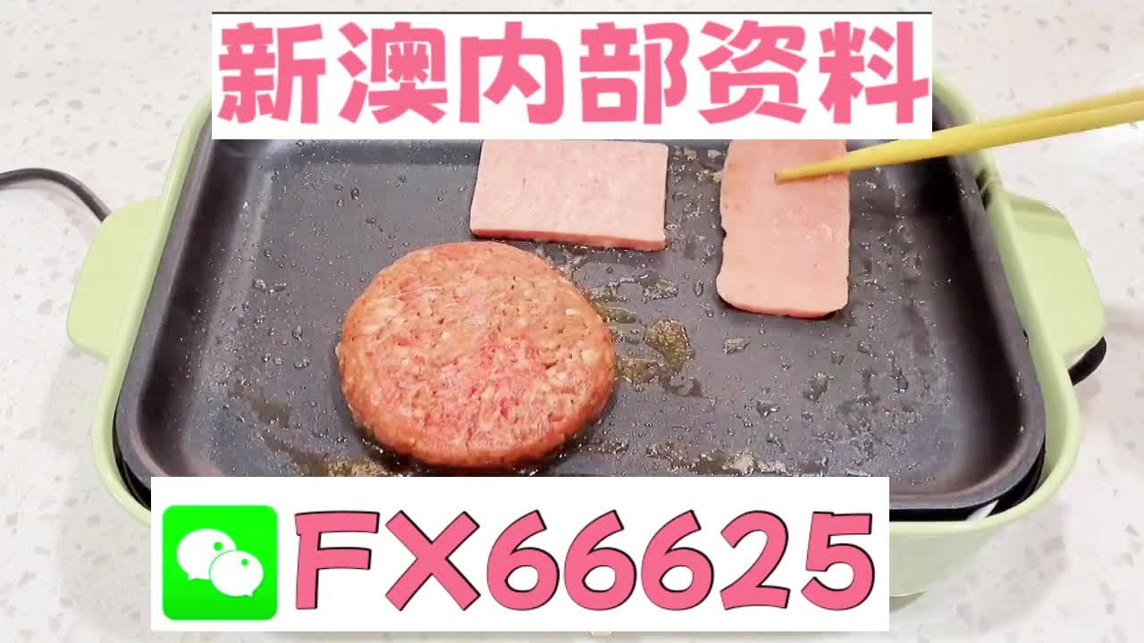 新澳门精准5码中特,快速设计问题剖析