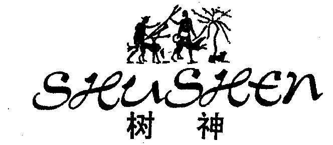 树神传说最新揭秘，神秘实力的探索与揭秘
