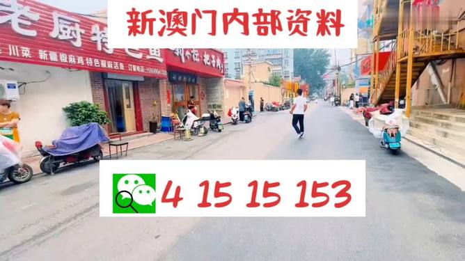 2024新奥天天开好彩大全——实地设计评估计划_视频版28.693