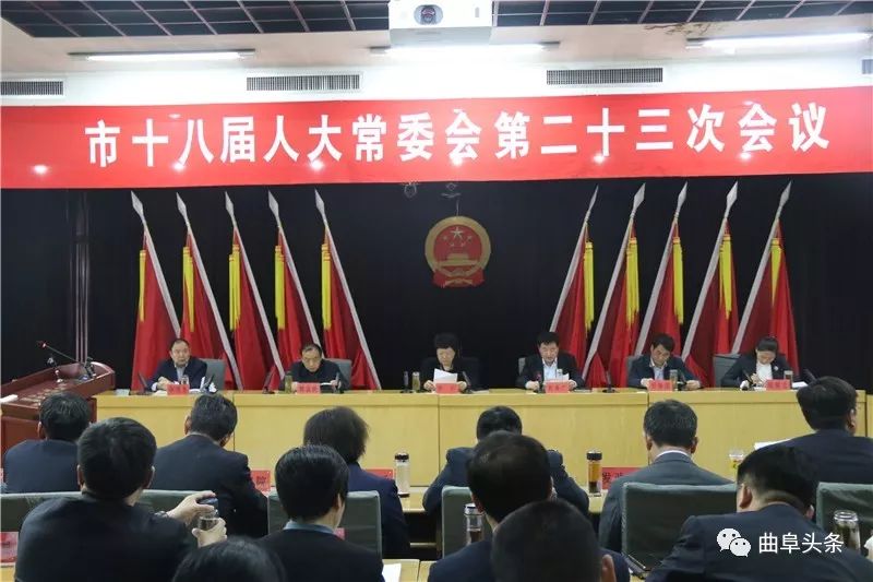曲阜市妄想生育委员会最新人事任命动态剖析及解读