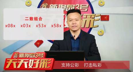 2004年新澳门天天开好彩大全,专业研究剖析说明