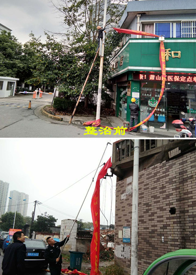 闻堰镇最新新闻速递，最新报道一清二楚