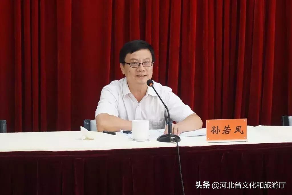 秦皇岛市文化局最新生长妄想揭秘，塑造都会文化未来之路