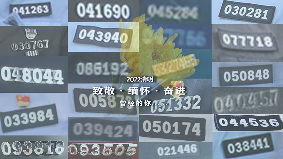 德莫 第2页