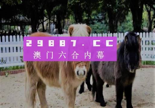 2024澳门特马今晚开奖49图,收益针言剖析落实_AP48.354
