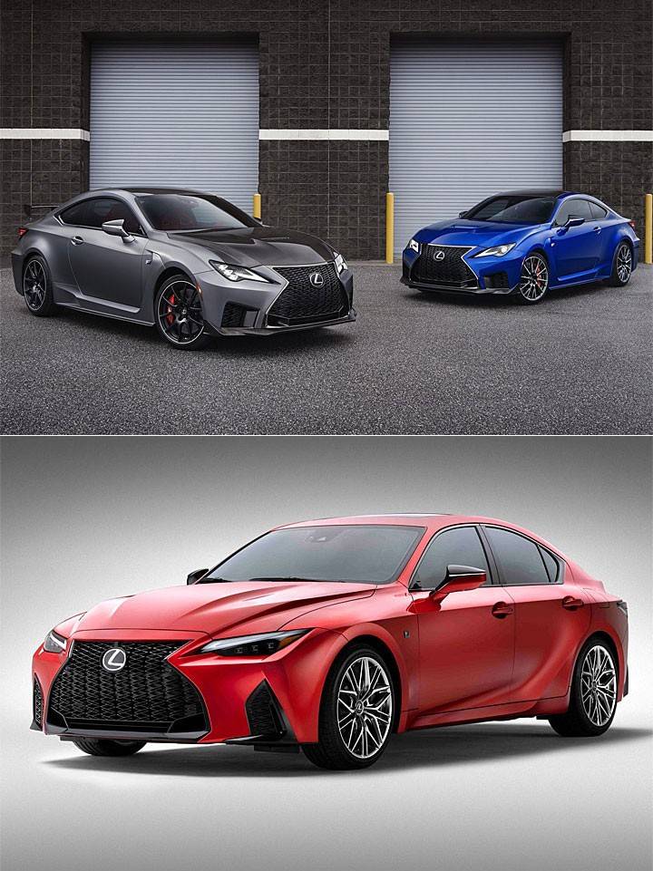 2024新澳今晚资料免费,动态词语诠释落实_CT80.866