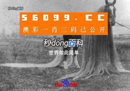 今晚上澳门必中一肖,高速响应战略剖析_Chromebook85.227