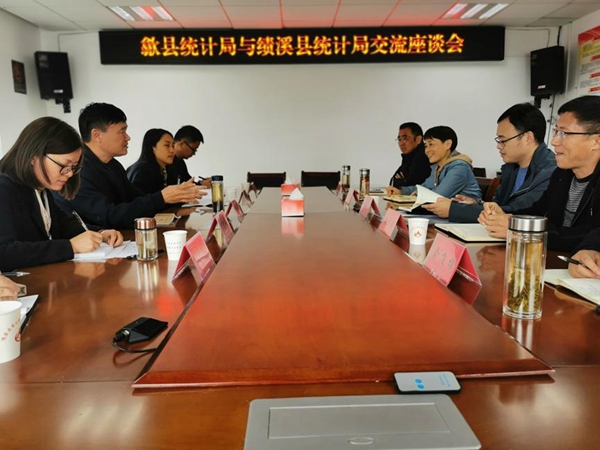 泾县统计局最新项目概览，探讨最新动态与效果