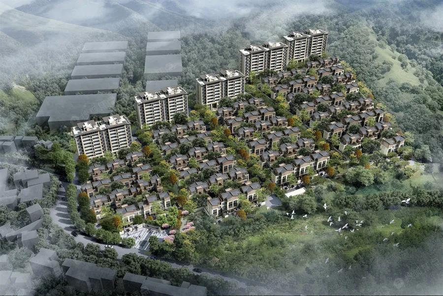 泰禾最新动态及远景展望
