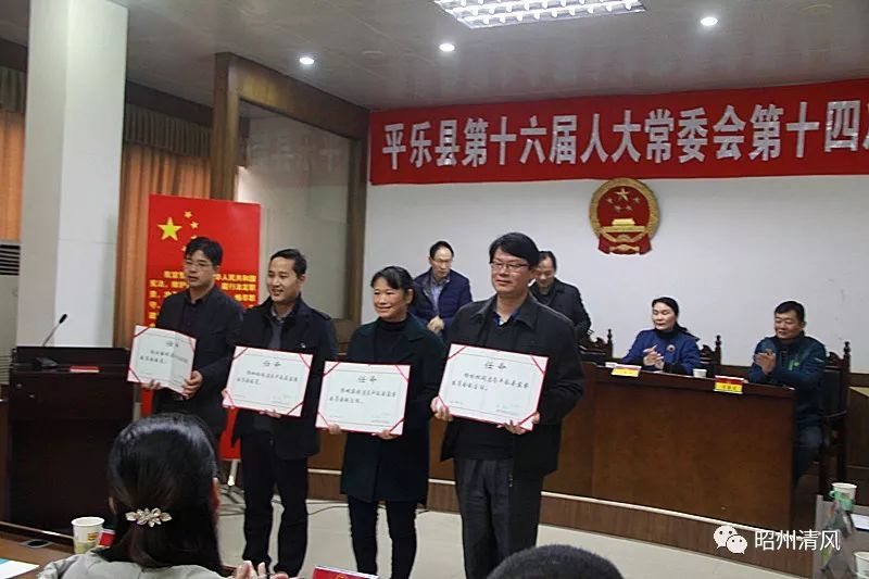 昭平县体育局人事大调解，构建体育生长新名堂的未来展望