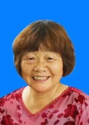 溆浦县小学最新项目，引领教育刷新，塑造未来之光启航行动