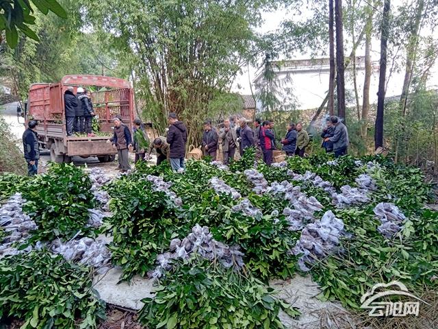 榴草社区最新地点动态及概述