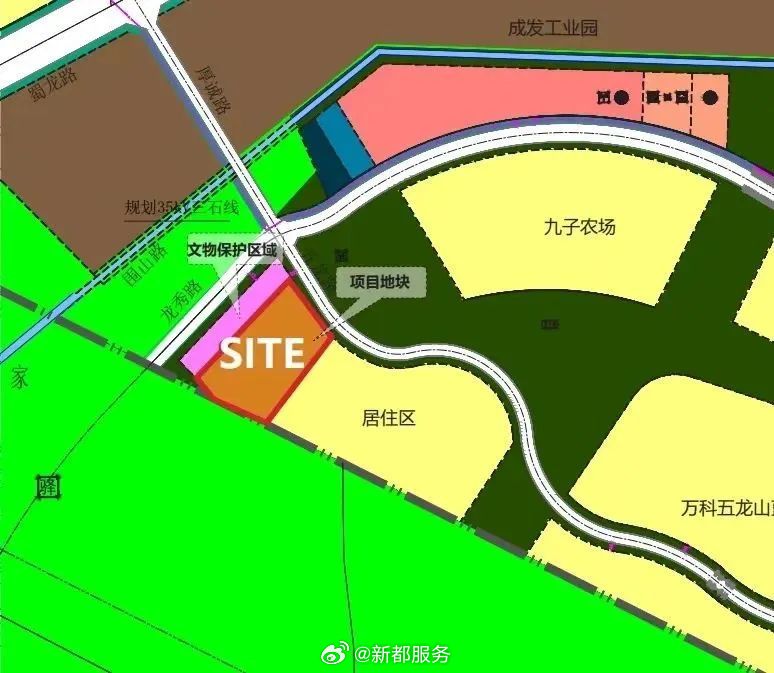 新都区初中未来教育蓝图，最新生长妄想揭秘