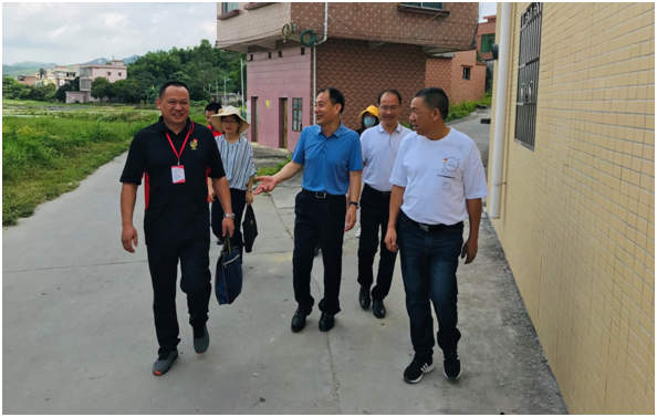 汤塘镇向导团队最新更新，引领地方生长的向导实力