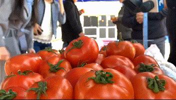抚州市外事办公室最新新闻及其动态剖析概览