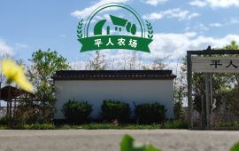 平马镇最新天气预告概览