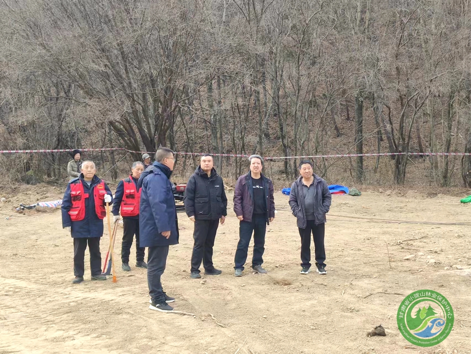 太东林场最新动态新闻宣布