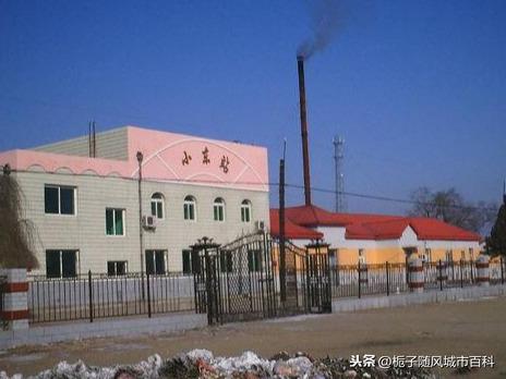 辽宁省锦州市小东种畜场最新新闻报道概览