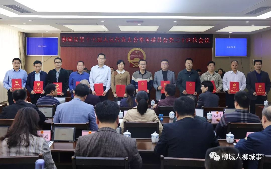 仙居县妄想生育委员会最新人事任命及动态更新