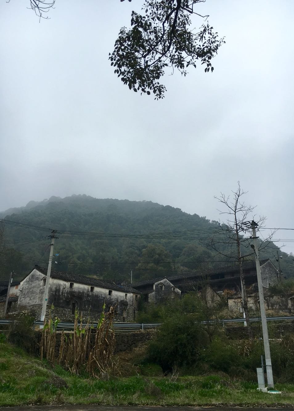 燎烟村委会最新天气预告更新通知