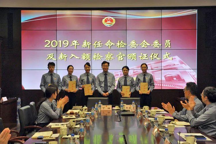 共和县教育局人事大调解，推动教育生长新篇章