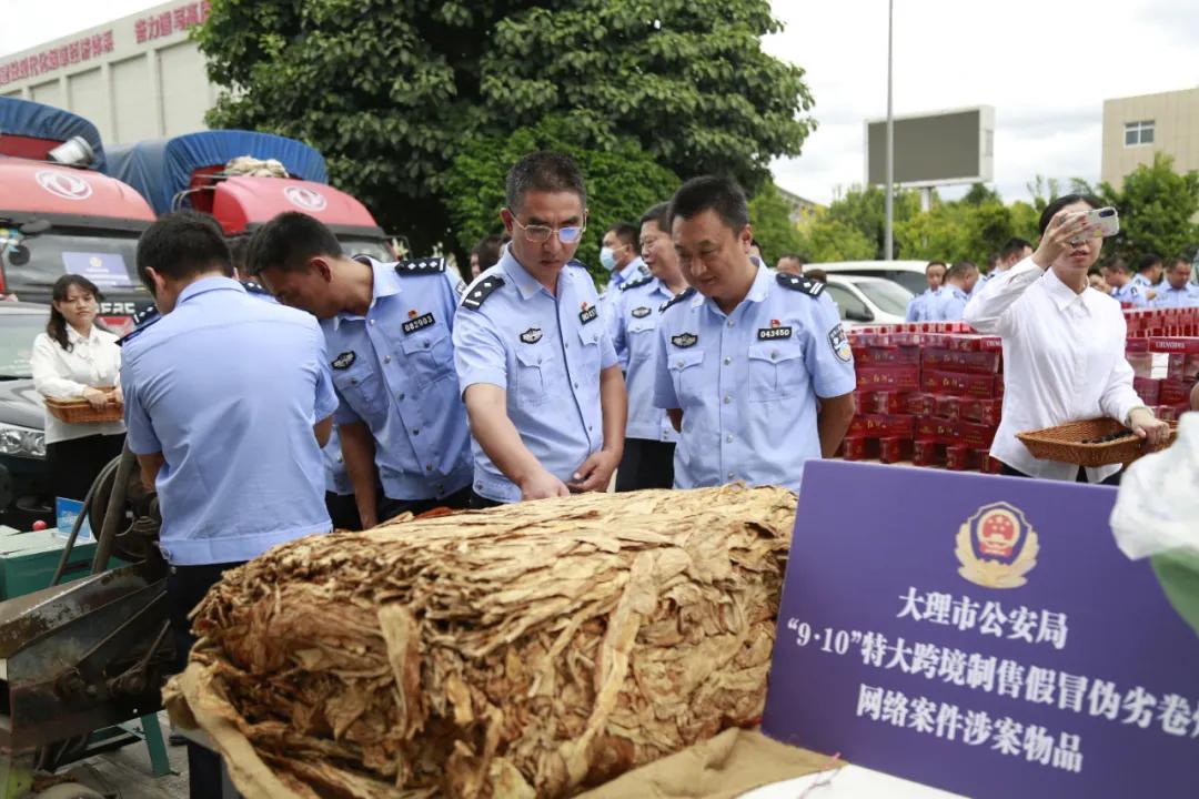大理市教育局最新项目引领教育刷新，塑造未来之光启航教育新篇章