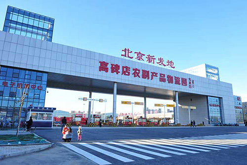 高碑店市级托养福利事业单位最新动态