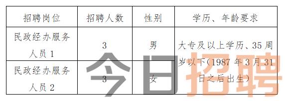 青铜峡市民政局最新招聘信息周全剖析