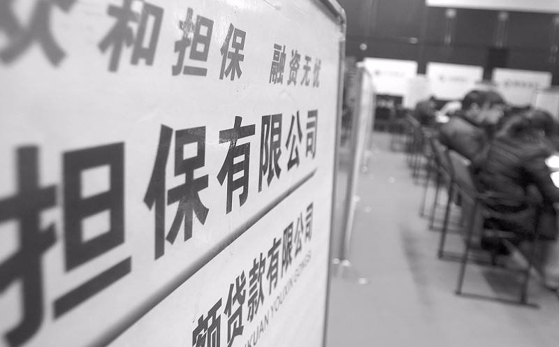 最新担保公司的崛起与未来生长趋势剖析