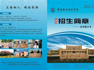 靖边县水利局最新招聘信息详解，职位概述与解读