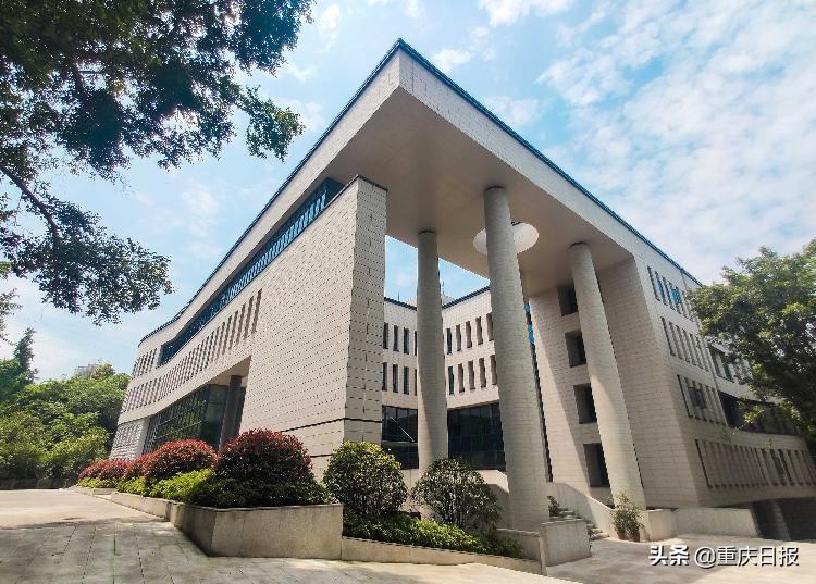 九龙县图书馆最新项目，探索知识的新领域之旅