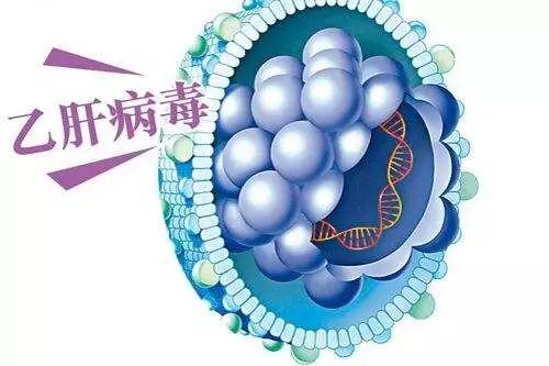 最新乙肝治疗要领，希望之光照亮未来之路的曙光