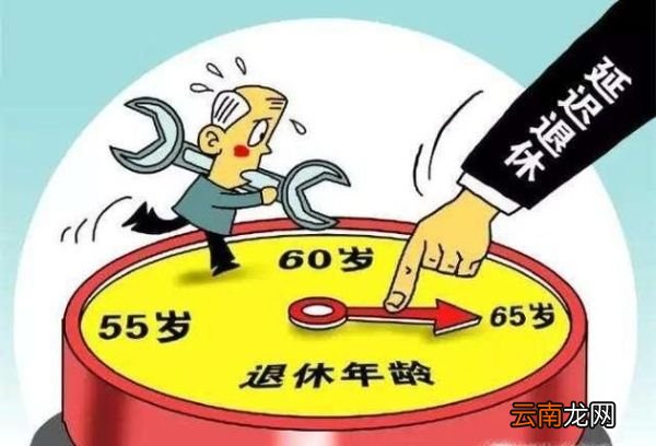 园林绿化 第71页