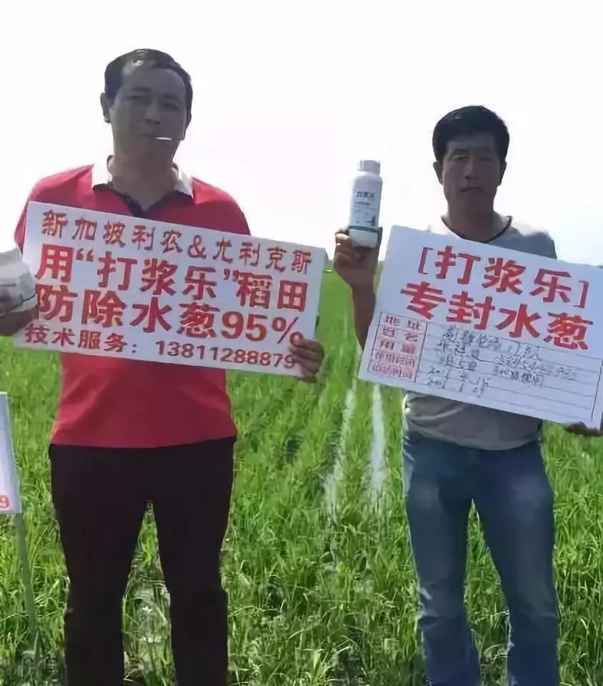 前沿科技与文化融合探索的新方剂