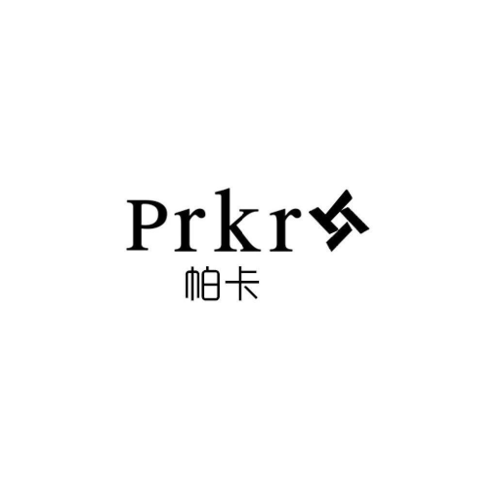 帕卡最新动态，引领厘革与立异的前沿资讯