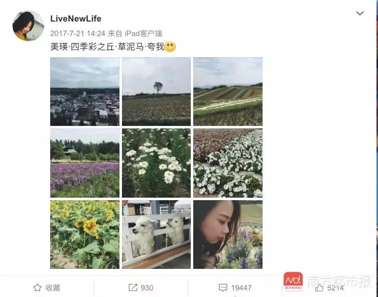 危秋洁最新动态，展现一连魅力与奇异风范