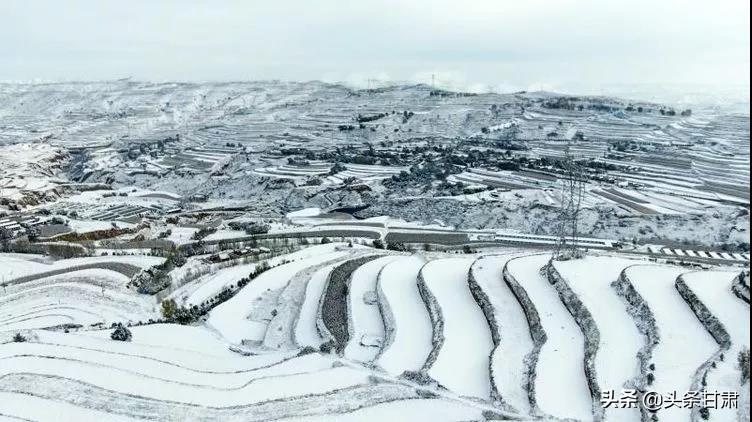 定西市市政治理局最新动态报道