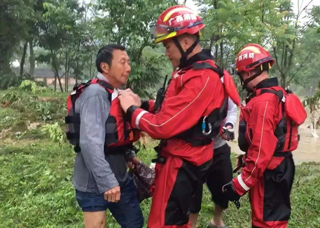 花卉莳植 第62页