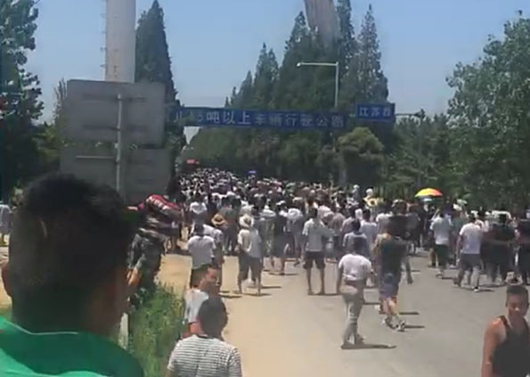 郯城与邳州最新生长动态及远景展望