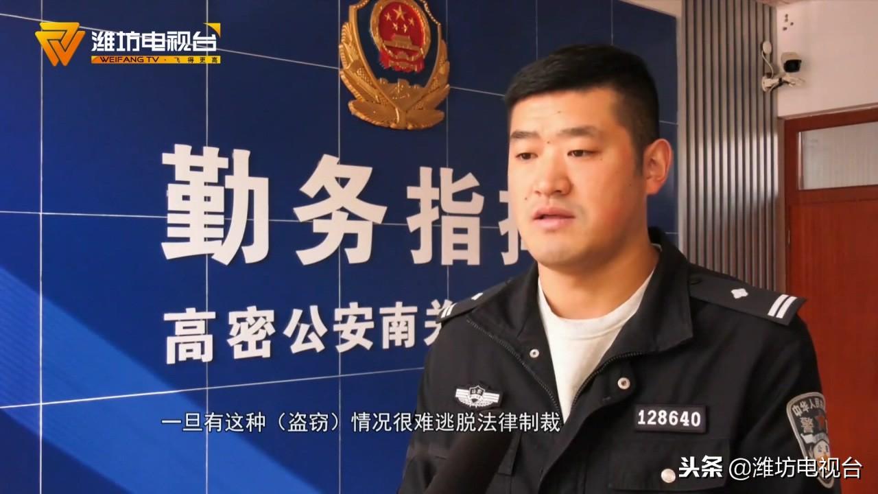高密最新信息概览，最新动态一网打尽